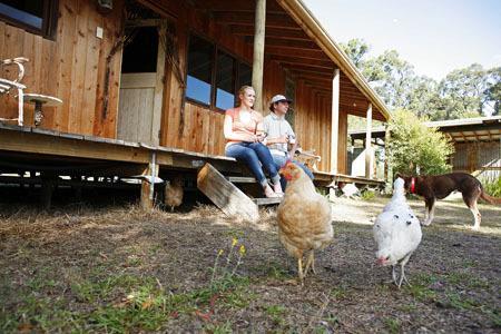 Lovedale Cottages Hunter Valley Zewnętrze zdjęcie